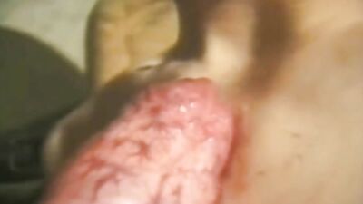 Zoo sex video: free zoo porn horse
