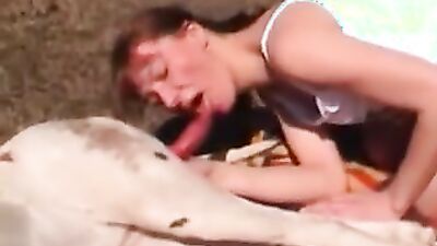 Bestiality porno: girl dog sex story