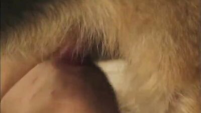 Bestiality horse: dog sex girls hot