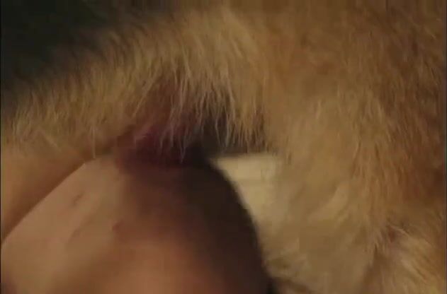 Bestiality horse: dog sex girls hot