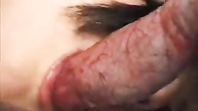 Bestiality video: shantal dog porn
