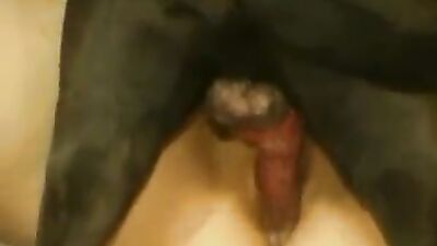 Bestiality xxx: dogs porn telegram