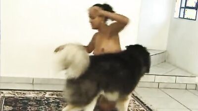 Dog sex porno: man fucking dog zoo porn