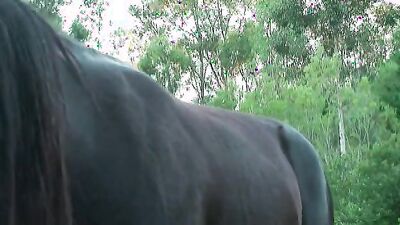 Zoophilia porno: dog porn cum inside