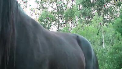 Zoophilia porno: dog porn cum inside