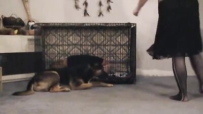 Zoo sex porno: desert storm chapter 3 zoo porn