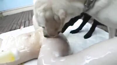 Zoo porn girls: 3d porn zoophilia