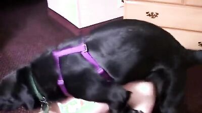 Fucking dogging porn: sex dog like