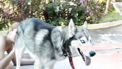 Bestiality sex id: dog licking girl videos