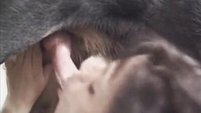 Dog fuck girls fucking: zoophilia animal sex