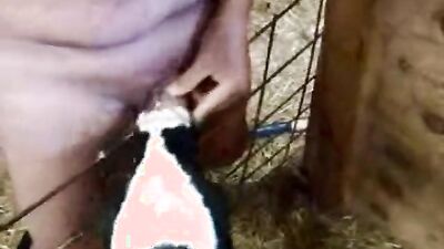 Zoo porn 2026: uploaded by bestiality lovers com