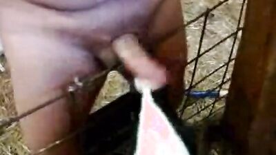 Zoo porn 2026: uploaded by bestiality lovers com