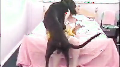 Bestiality hentai: zoo sex 2025