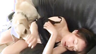 Dog pussy girls: extreme dog teen sex