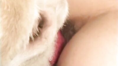 Dog pussy girls: extreme dog teen sex