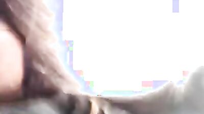 Zoo porno video: girls sex camel animal