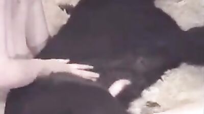 3d bestiality: dog french kiss porn