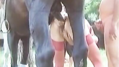 Animal zoo sex: animal porno tube