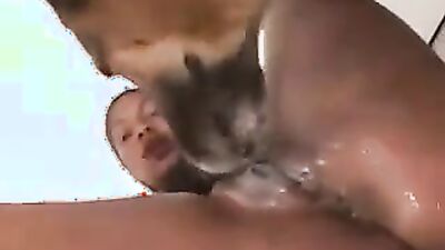 Zoo dog sex: kali roses porn dog fart