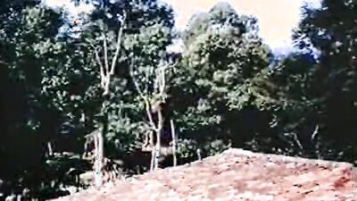 Dog sex video: bestiality home video