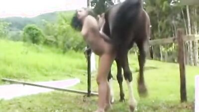 Zoo porn 2026: sex dogs monster
