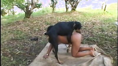 Zoophilia video: comics porno dog fights girl s pussy