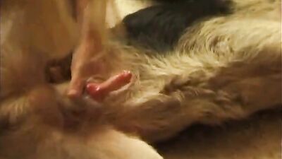 Dog get girl: man fuck horse zoo porn