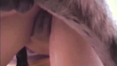 Dog pussy girls: watch dogs 2 porn