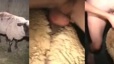 Mimi dog porn: amateur animal porn