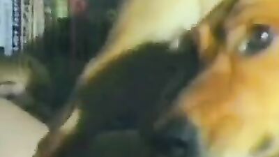 Girls 5 dogs: man fuck animal porn