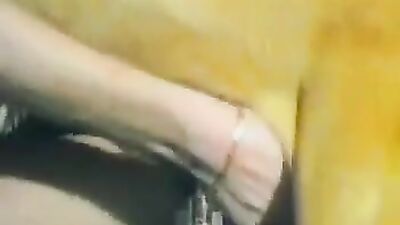 Girls 5 dogs: man fuck animal porn