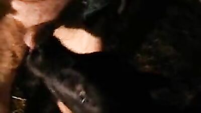 Animal cross porn: man sex animals