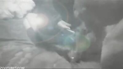 Fucking dogging porn: zoo porn orgies