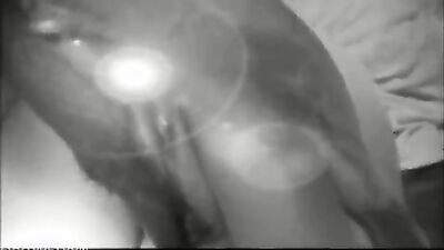 Fucking dogging porn: zoo porn orgies