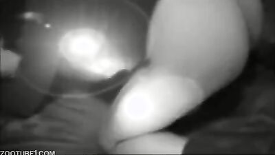 Fucking dogging porn: zoo porn orgies