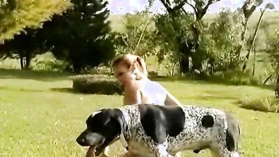 Bestiality sex: dog pov porn