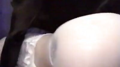 3d zoo porn: zoo sex tube