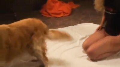 Dog sex video: emmaly dog sex