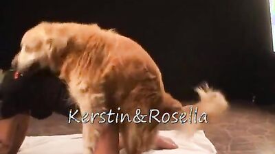 Dog sex video: emmaly dog sex