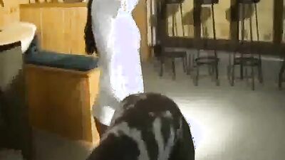Zoo porn video: amateur women and doğ sex