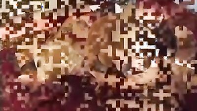 Zoo porn man: amateur dog sex