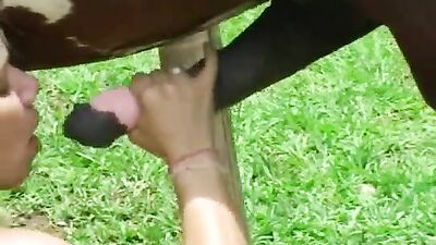 Sex animal's: wara 109 hot dogs vintage porn