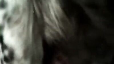 Boy girl dog: porn bestiality dog fucking