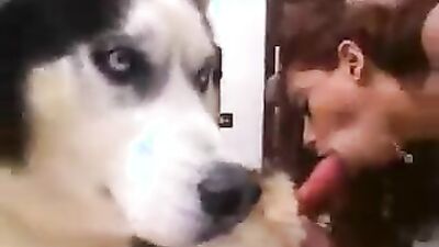 Bestiality comics: girl dog webcam porno