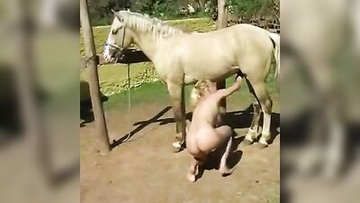 Animal sex porn: dogs porn hd zoo