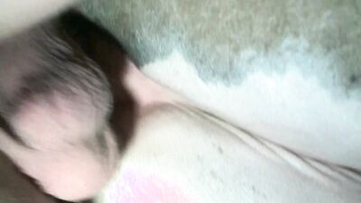 Women's dog sex: tic zoo porn