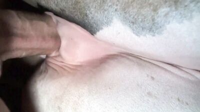 Women's dog sex: tic zoo porn