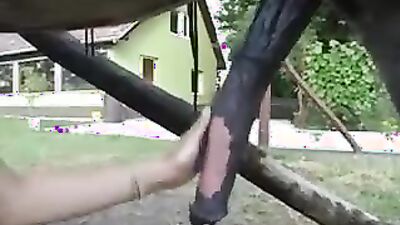 Zoo fuck porn: british grannies love animal sex