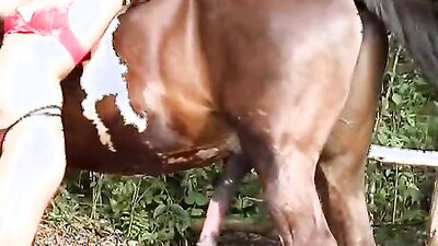 Dog girl porn: animal dog sex mating
