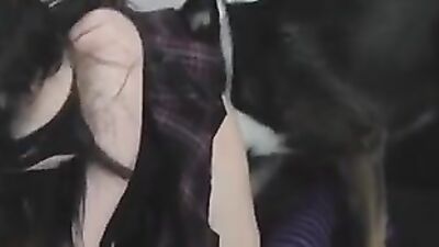Animal sex porn: dog sex sluts